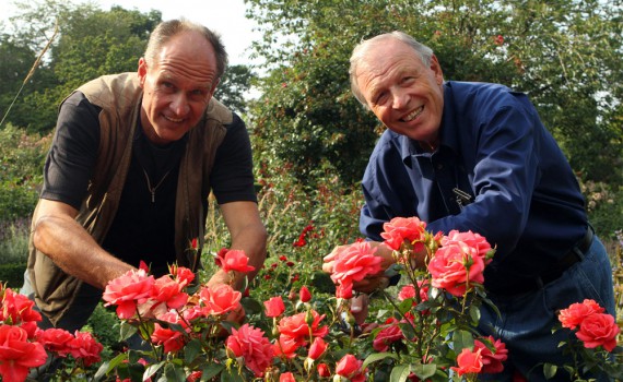 NaturNah - Lotosfieber im Norden